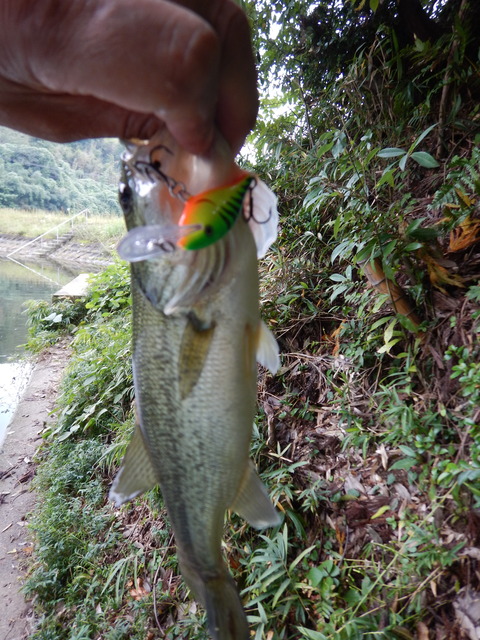 DSCN2924